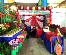 Royal Daffodils Flowers Shop
