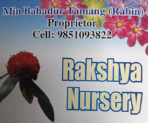 Rakshya Nursery