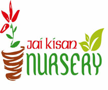 Jai Kishan Nursery